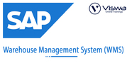 SAP WMS Online Training Institute From Hyderabad India